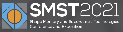 Logo SMST 2021